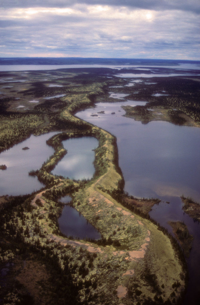 Part of an esker that formed beneath the Laurentide Ice Sheet in northern Canada. _Source: Gord McKenna (1986) CC BY-NC-ND 2.0 [ view source](https://flic.kr/p/9WTG5j)_