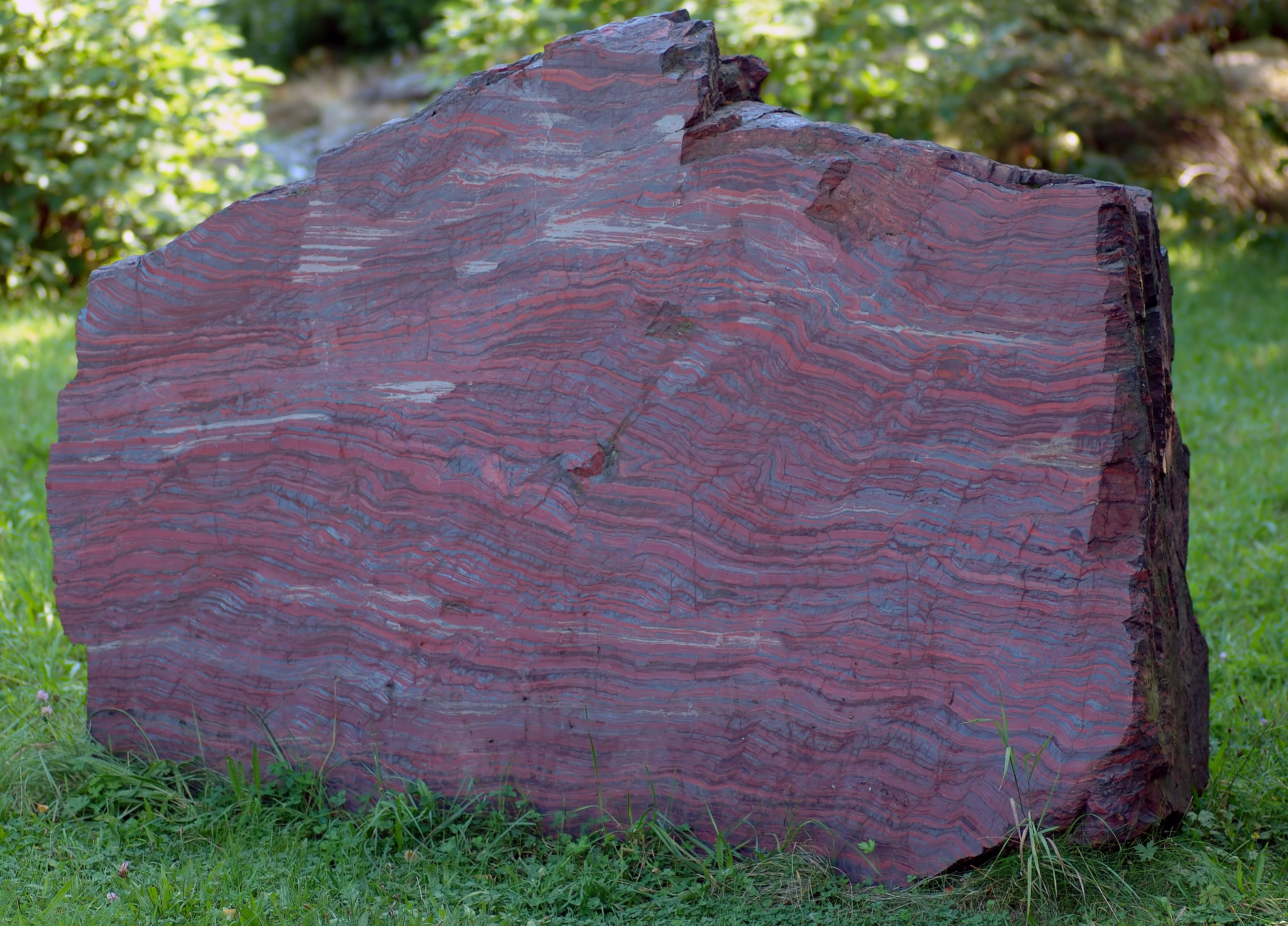 Banded iron formation from an unknown location in North America on display at a museum in Germany. The rock is about 2 m across. The dark grey layers are magnetite and the red layers are hematite. Chert is also present. Source: https://upload.wikimedia.org/wikipedia/commons/5/5f/Black-band_ironstone_%28aka%29.jpg