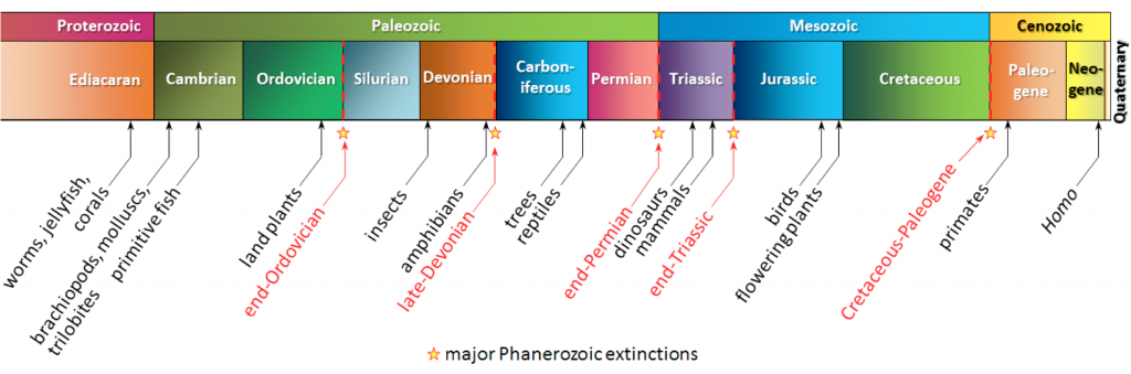A selective summary of life on Earth during the late Proterozoic and the Phanerozoic. The top row shows geological eras, and the lower row shows geological periods. _Source: Steven Earle (2015) CC BY 4.0 [view source](http://opentextbc.ca/geology/wp-content/uploads/sites/110/2015/07/Proterozoic-and-the-Phanerozoic.png)_