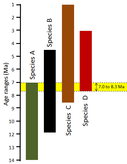 Application of bracketing to constrain the age of a rock based on the presence of several fossils. The yellow bar represents the time range during which each of the four species (A – D) existed on Earth. Although each species lived for several millions of years, we can narrow down the age of the rock to a span of just 1.3 Ma during which all four species coexisted. _Source: Steven Earle (2015) CC BY 4.0 [view source](http://opentextbc.ca/geology/wp-content/uploads/sites/110/2015/07/age-of-a-rock.png)_