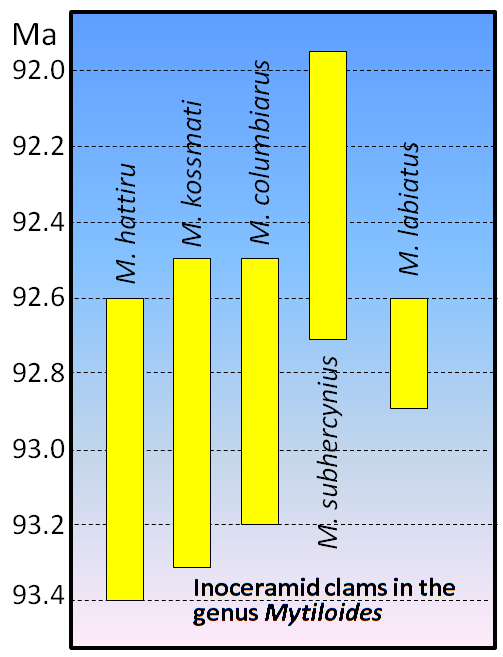 Inoceramid ranges. _Source: Steven Earle (2015) CC BY 4.0, from data in Harries et al. (1996). [View source](http://opentextbc.ca/geology/wp-content/uploads/sites/110/2015/07/Cretaceous-inoceramid-clams.png)_