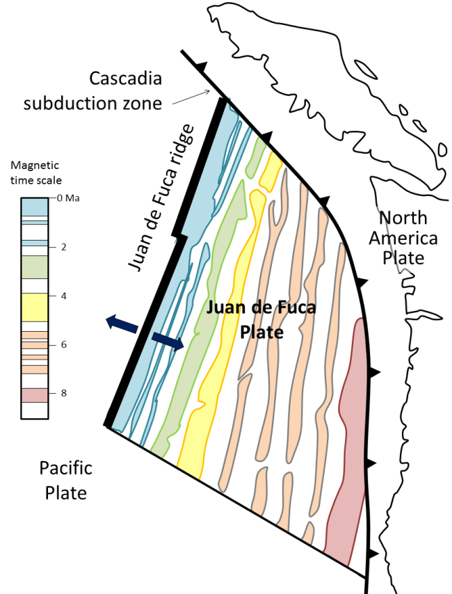 TThe pattern of magnetism within the area of the Juan de Fuca Plate, off the west coast of North America. Coloured bands represent parts of the sea floor with normal magnetic polarity, and the magnetic time scale is shown using these same colours. _Source: Steven Earle (2015) CC BY 4.0 [view source](http://opentextbc.ca/geology/wp-content/uploads/sites/110/2015/07/pattern-of-magnetism.png)_