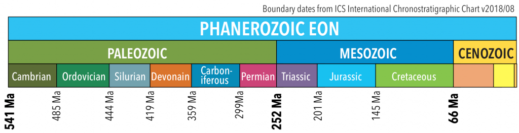 The eras (middle row) and periods (bottom row) of the Phanerozoic. _Source: Karla Panchuk (2018) CC BY 4.0, modified after Steven Earle (2015) CC BY 4.0 [view source](https://opentextbc.ca/geology/wp-content/uploads/sites/110/2015/07/Phanerozoic.png)_