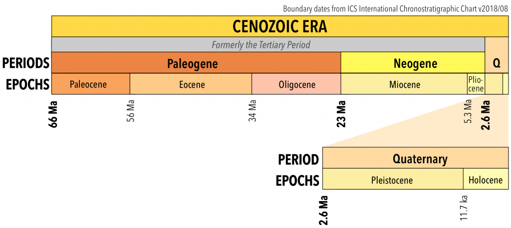 The periods and epochs of the Cenozoic Era. _Source: Karla Panchuk (2018) CC BY 4.0, modified after Steven Earle (2015) CC BY 4.0 [view source](https://opentextbc.ca/geology/wp-content/uploads/sites/110/2015/07/Cenozoic.png)_