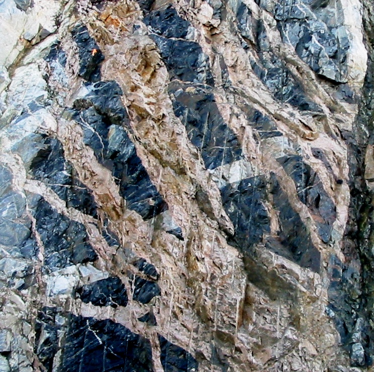 Outcrop from Horseshoe Bay, BC. _Source: Steven Earle CC BY 4.0 [view source](http://opentextbc.ca/geology/wp-content/uploads/sites/110/2015/07/outcrop.jpg)_